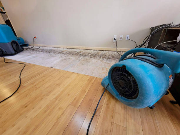 Reliable Basement Flood Cleanup contractor in Ellsworth, WI by Hirex Water Damage
