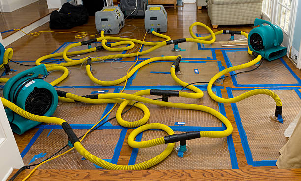 Professional Basement Flood Cleanup technician working in Ellsworth, WI